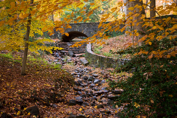 Autumn Bridge