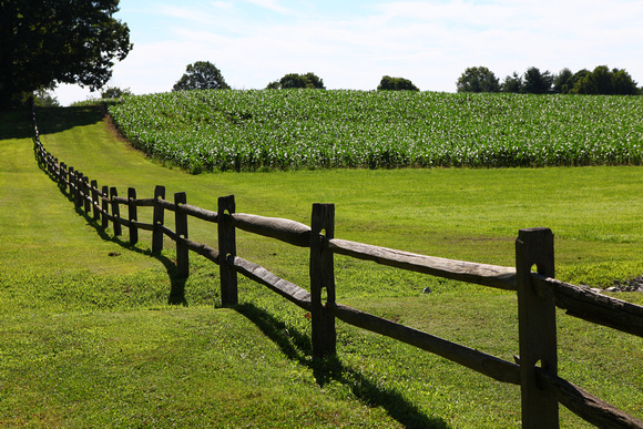 Country Fence